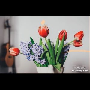 Meet your Posher, Jasmine